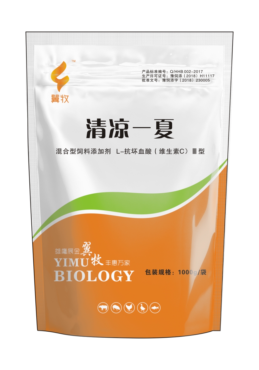 清凉一夏